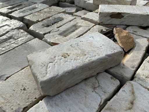 Cegła z odznaką (1000x)