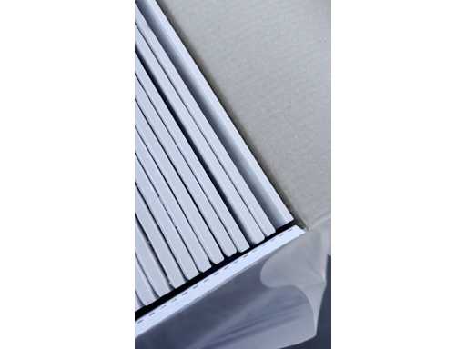 LITTLE%2520WHITE%25202.mp4