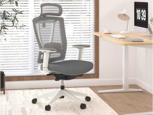 Chaise de bureau ergonomique avec système de siège dynamique