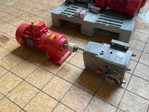 Pomac PLP 2-2.5 Rotary Lobe Pump