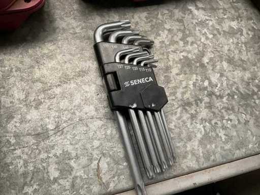 Seneca Torx Allen Key Set
