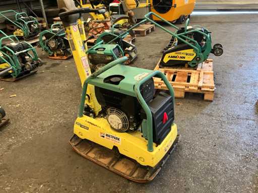 Ammann - APR 60/40 - Plaque vibrante - 2020