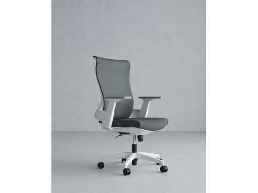 Lot of office chairs (5x)