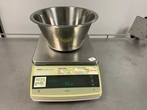 METTLER TOLEDO PG3001-S Waage