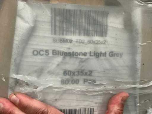 OCS Bluestone Hellgraue Naturstein-Fliese (80x)