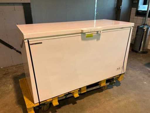 Ggmgastro TTS468A+ Vrieskist