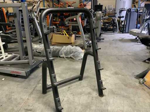 Centrale électrique Technogym élément Haltère 4 paires