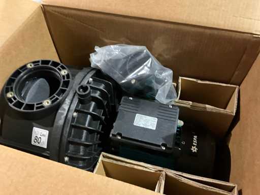 Pompa dell'acqua (2x)