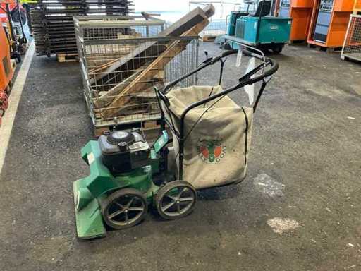 Aspiratoare de iarbă și frunze