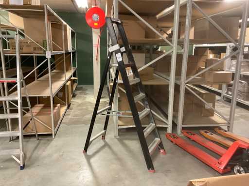 Altrex Taurus TGB 6 Ladder
