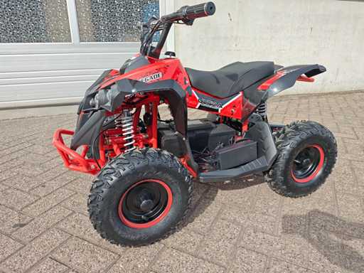 Midi Quad elektrisch 1000 watt Renegate