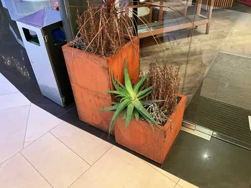 Metalen plantenbak met inhoud (2x)