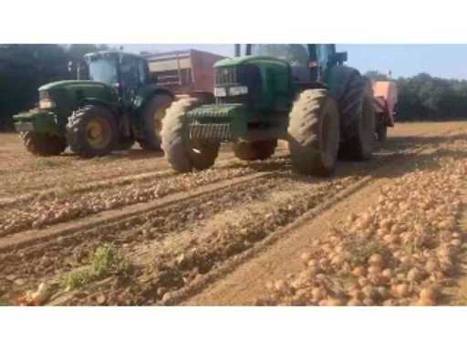 b2fc42c1-5fe7-4326-b401-2eec52fc9366.mp4