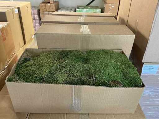 Partij Moss Flat 2kg per doos (39x)