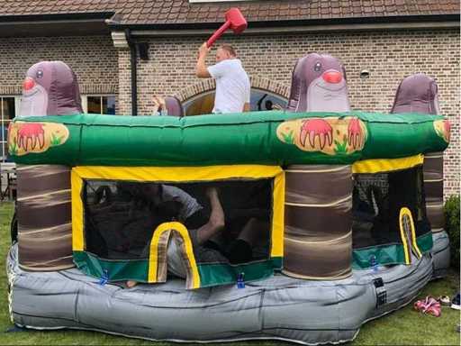 Gonfiabili JB - Colpisci una talpa con il ventilatore (2x)