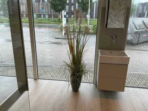 Planten met pot
