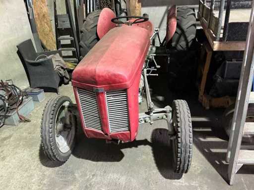 Massey ferguson - Vintage Tractor