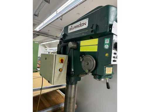 Exercițiul Coloanei Gillardon