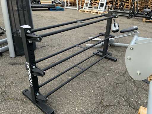 Suportul cu mingi medicinale Rogue Multi-sală