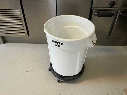 Brute - Trash can on doggy