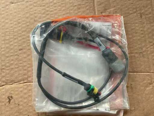 Cablaggio ramificato