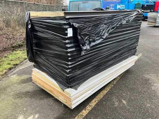 Pannello Sandwich (22x)