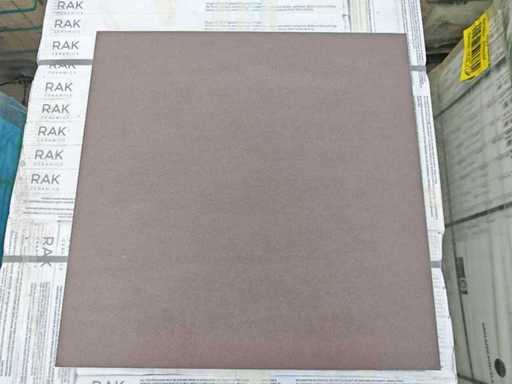 RAK GPEST Grey Brown Matt 60x60 cm Tile 129.6 m²