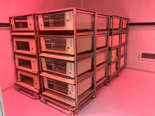 Käfige für Haustiere