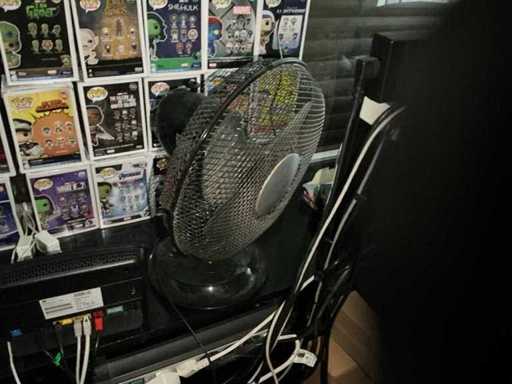 Fan Domo