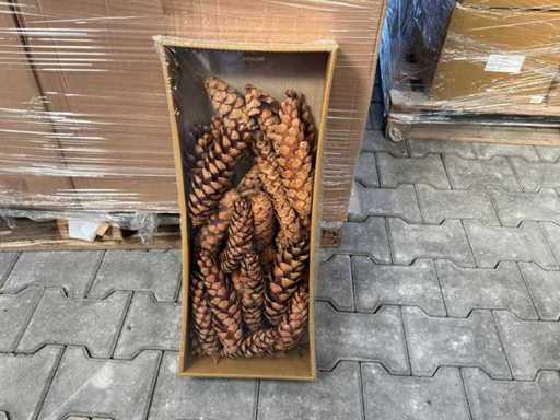 Cutie cu conuri decorative de pin (80x)