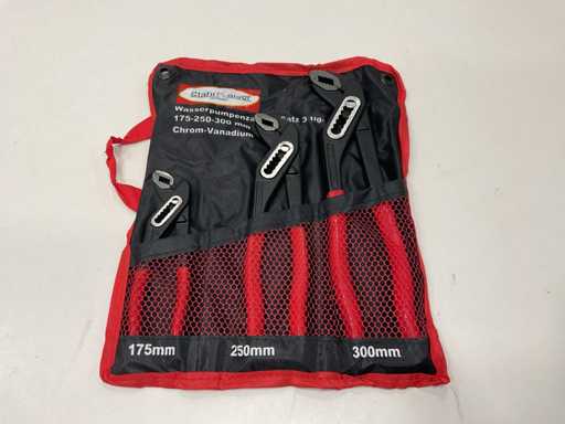 Pinze per pompa dell'acqua insiemevano 3 pezzi