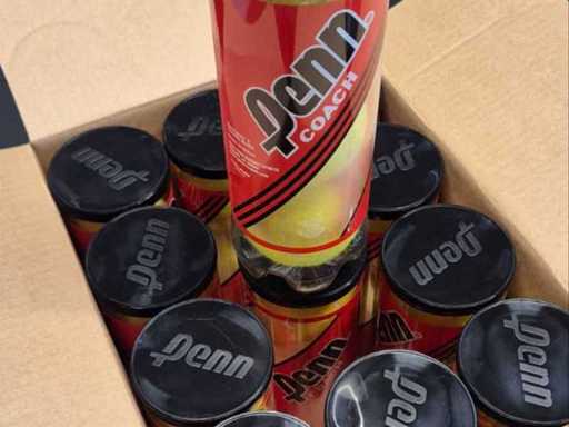 Balles de tennis Penn (10x)