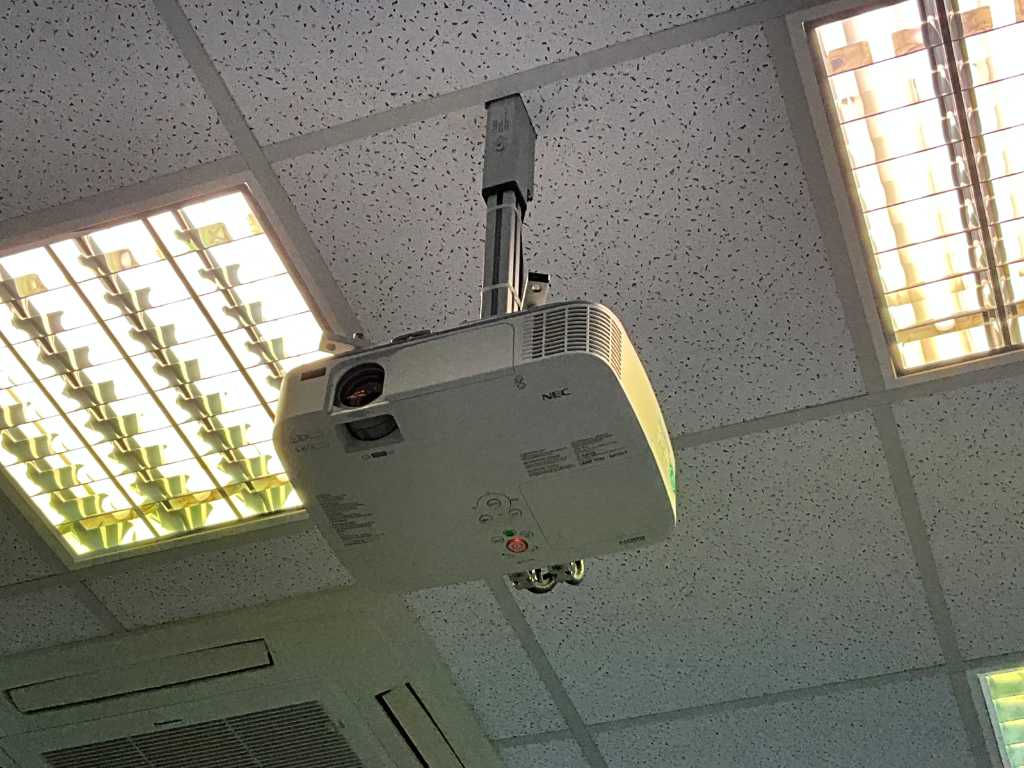 Projector with screen