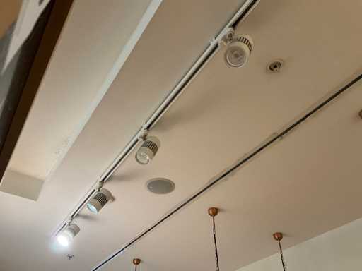 Railsysteem met spots