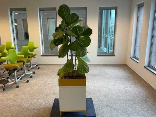 Hydrocultuurplant met plantenbak