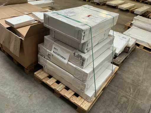 Brugman Various Radiator (6x)