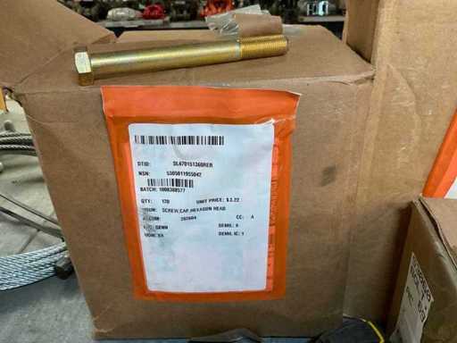 Bouchon à vis (120x)