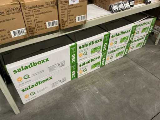Batch saladboxx rotund transparent 300&250cc (2000x)