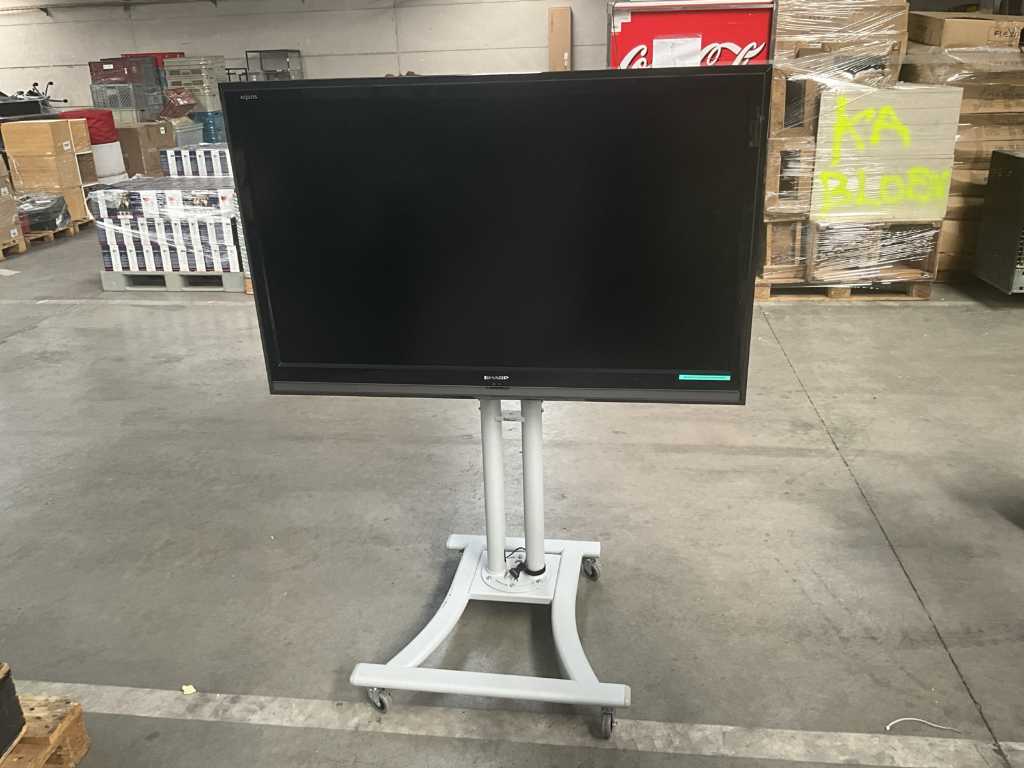 TV on rolling stand