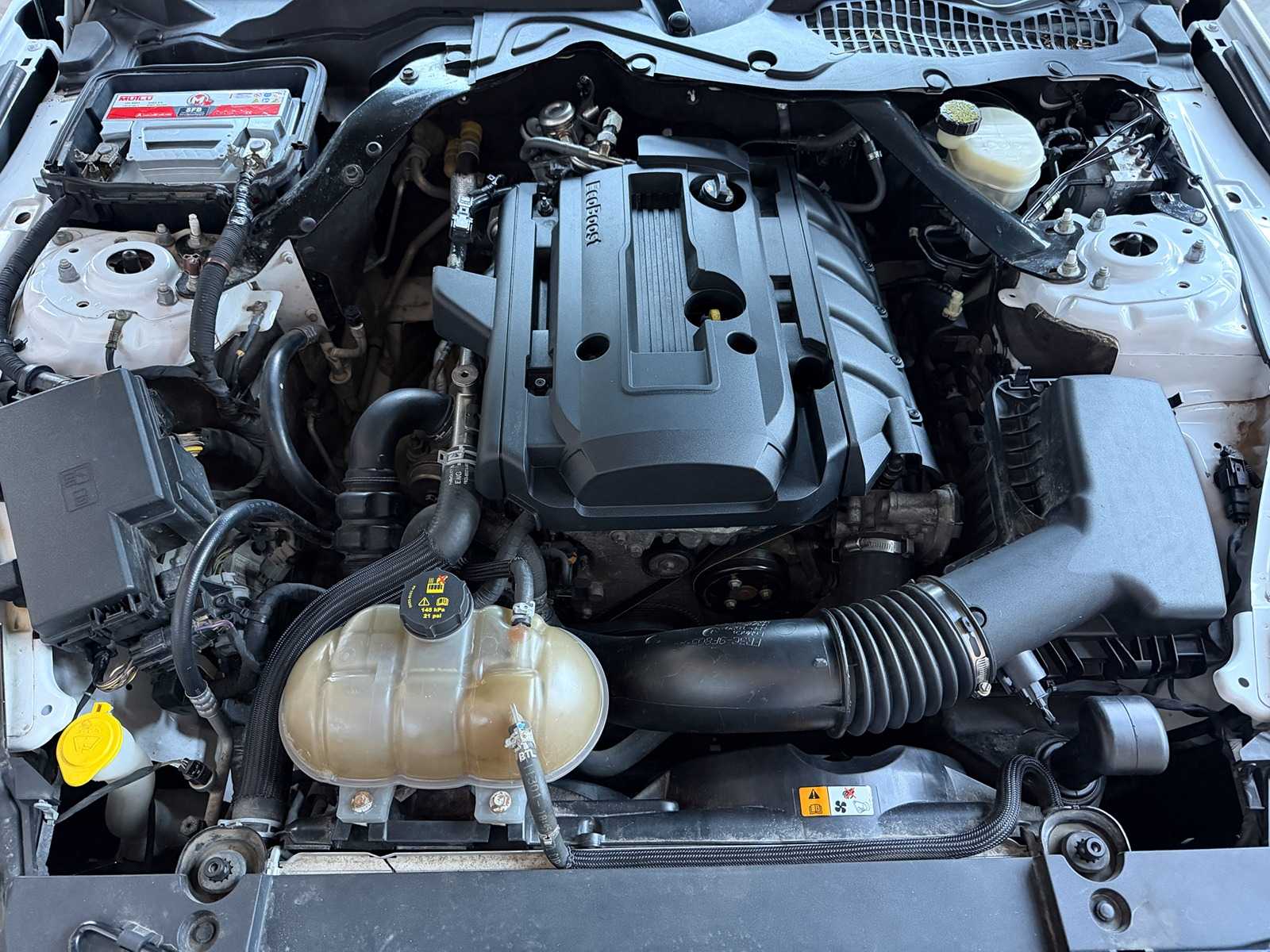 Ford Mustang Cabrio Ecoboost Premium 2.3 310pk 2015