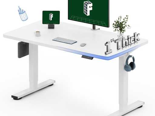 FLEXISPOT One-Piece Electric Sit-Stand Desk 122 x 61 cm, 2.5 cm thick seamless top