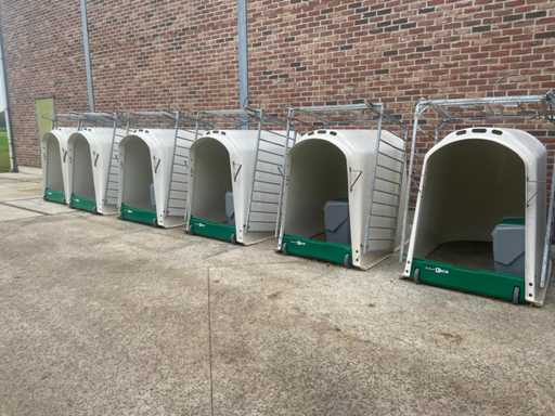 Kalveriglo’s- Veeteelt