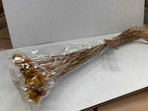 Graspedia bos Decoratie boeket