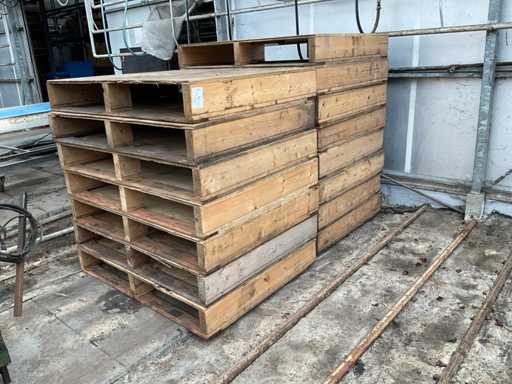 Riser pettorale (15x)