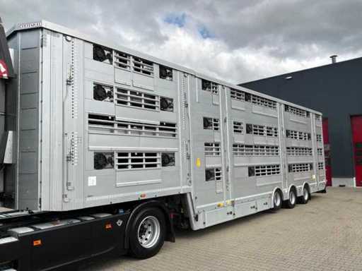 2026 Pezzaioli SBA31/G Vee Conveyor "3 Livelli"