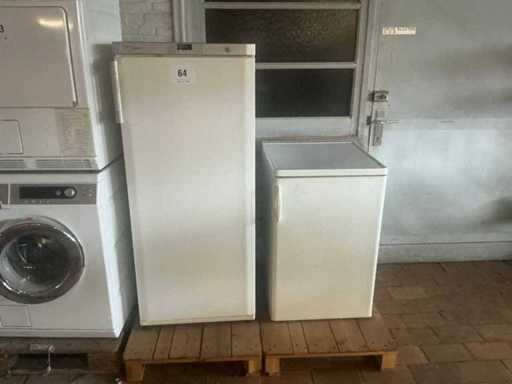 Bauknecht / IKEA Refrigerator (2x)