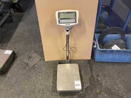 Échelle de plateforme Riba ARCI-35