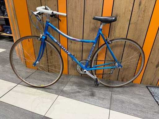 Bertini Retro Damesfiets