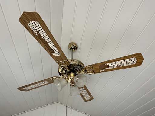 Plafondventilator met verlichting