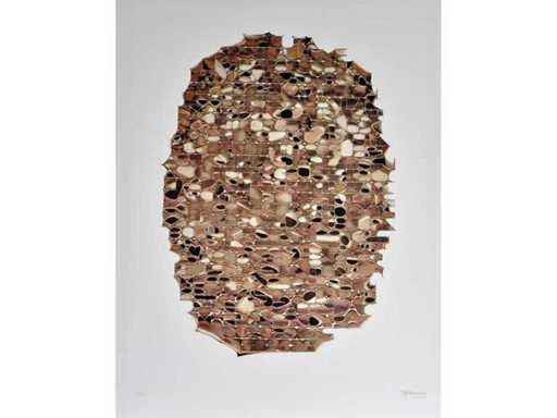 Pierre Cordier - Colour silkscreen - 1/130